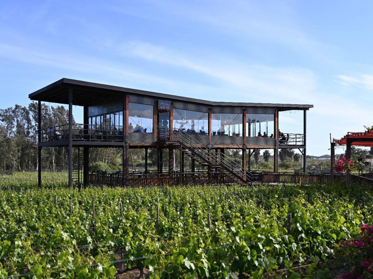 Don Tomas Vinedo Cabanas Valle de Guadalupe Luaran gambar